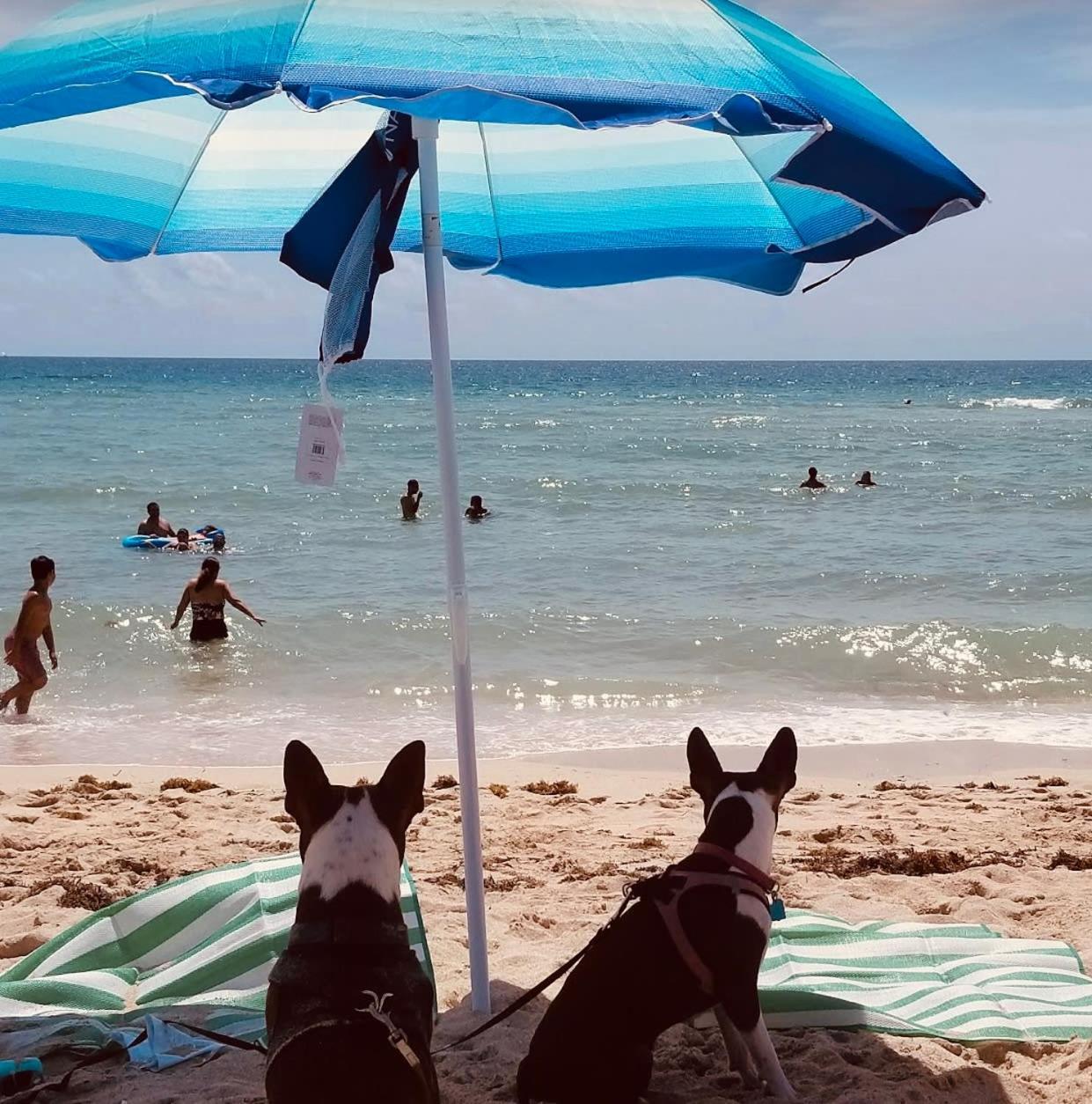 Miami Beach Apartment With Private Patio Free Parking Family Friendly No Pet Fee Exterior photo